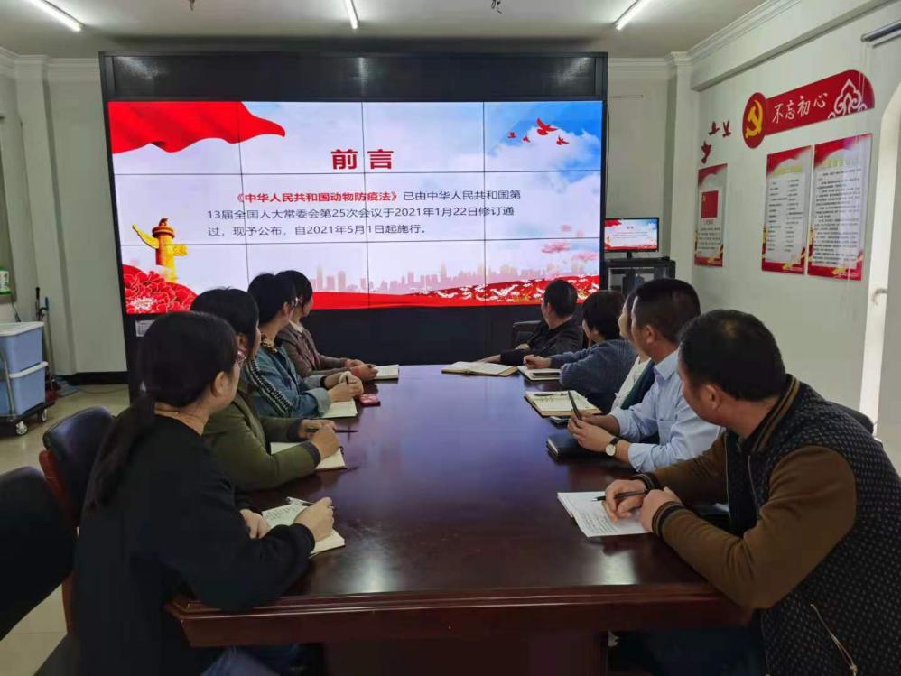 图片2.jpg