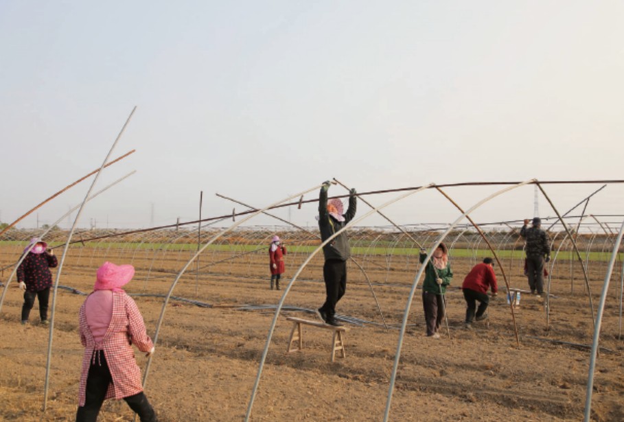 92cbcfd58d2ab193f4585eeb31fdab2a.jpg