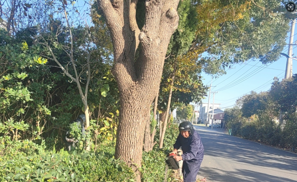 微信图片_20260105094218.png
