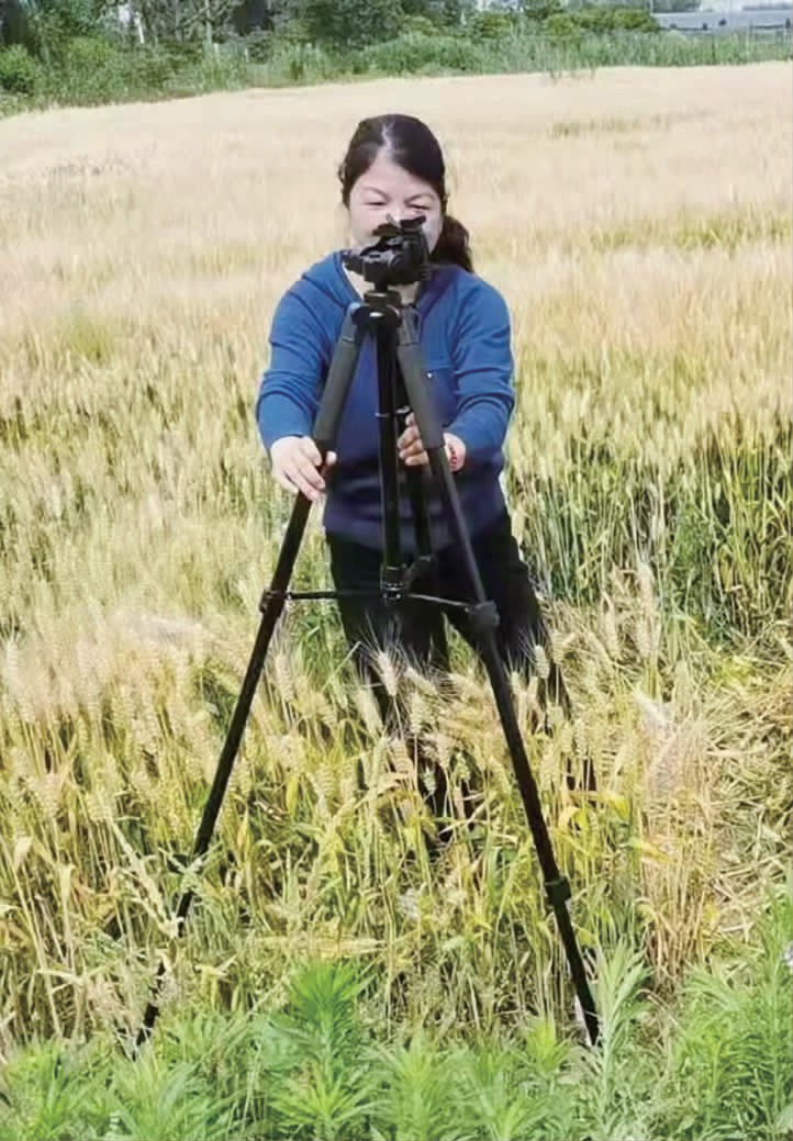 e40ae770424adcf73845a8538fd0aafa.jpg