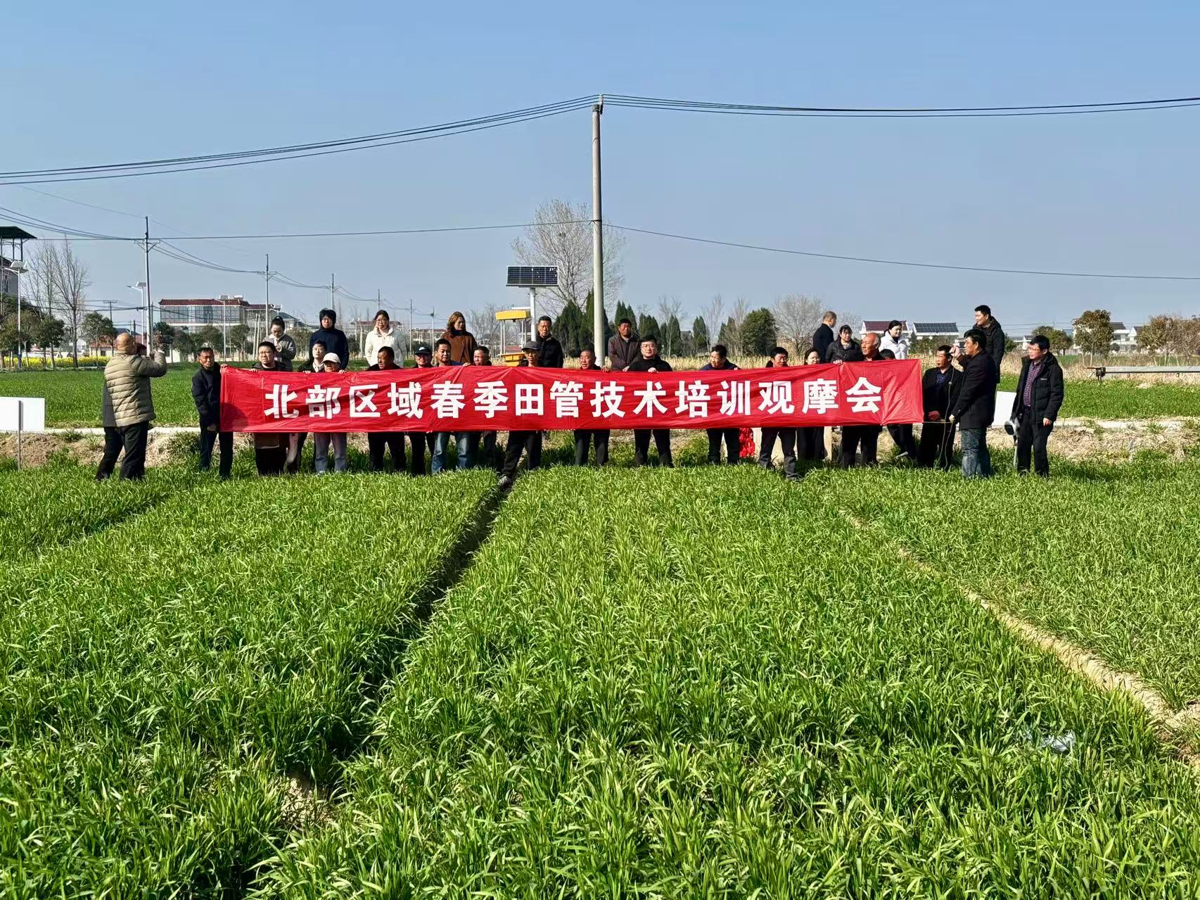 图片4.jpg