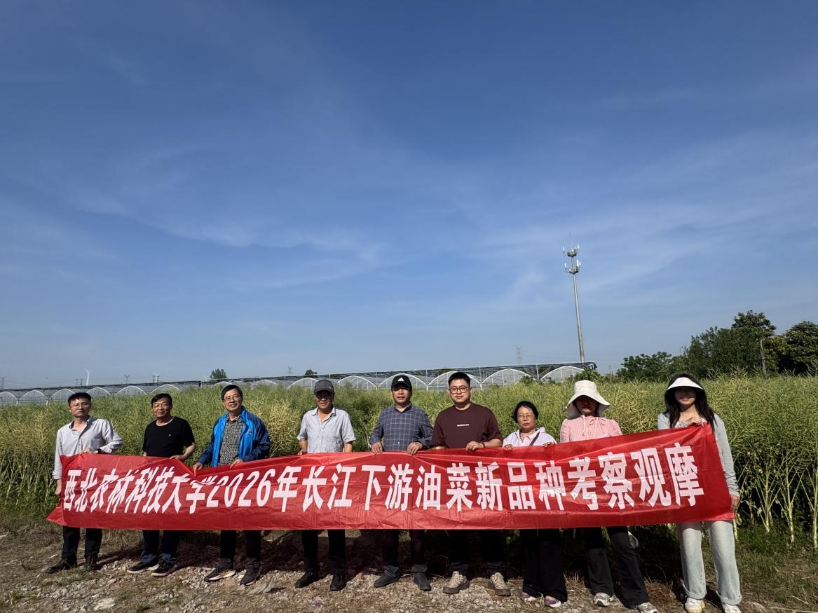 图片2.jpg 图片2.jpg