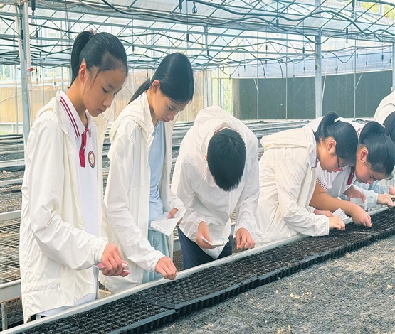 田头课堂学育种