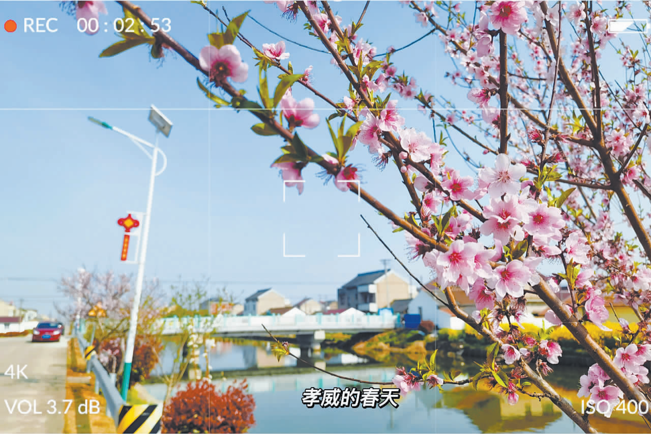 7db17c934542813181f42c667a23e650.png