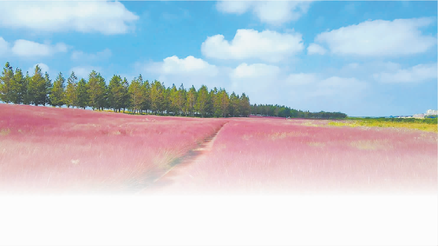 733d23a5bb8b7a6b4a8a22abd13cc449.png
