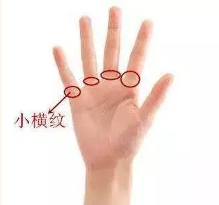 文章配图-1