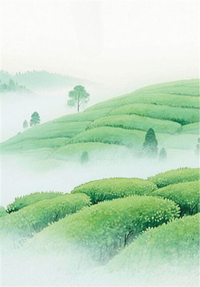 米仓茶香